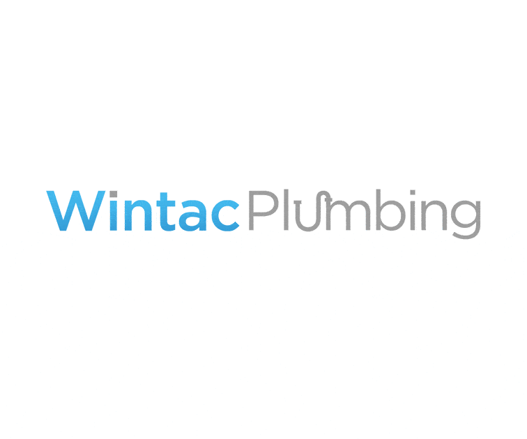 wintac brand identity 3